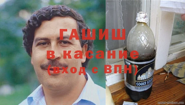 индика Богданович